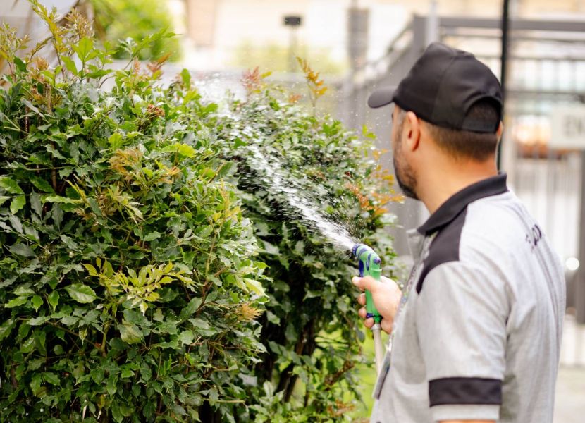 Soluções Completas em Jardinagem para Empresas